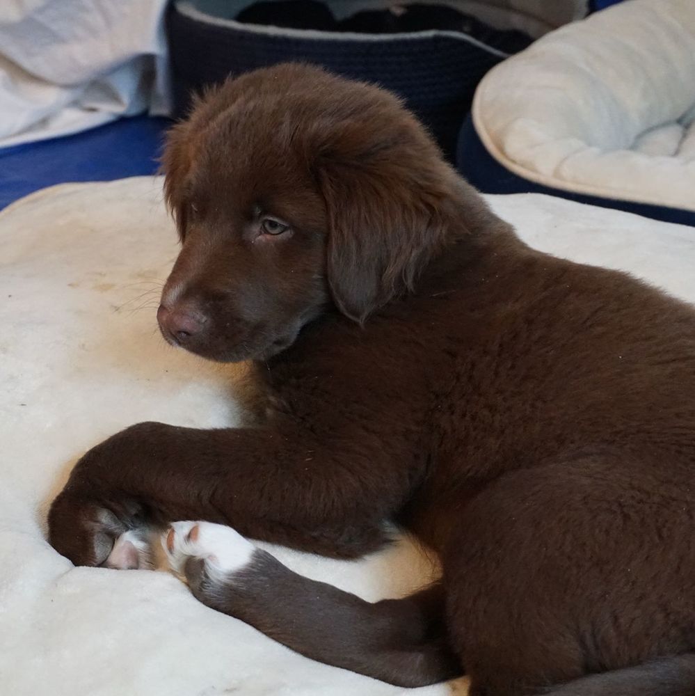 Meet your Posher, Audrey